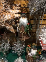IMG_3768.JPG