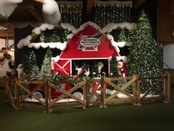 IMG_3784.JPG