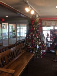 IMG_3868.JPG IMG_3868.JPG