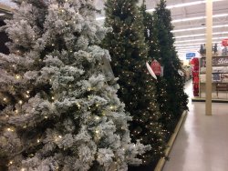 IMG_2744.JPG IMG_2744.JPG