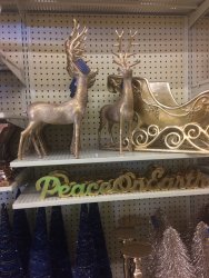IMG_3208.JPG IMG_3208.JPG