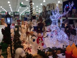 B21154FB-F070-4FF4-A2FF-1D0B967D3F40.jpeg