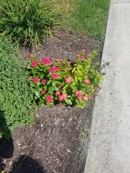 20181003_141857.jpg