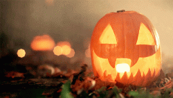 A0A50256-CD2D-4585-80B1-8231BA63105A.gif