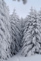 81AD85A0-B6D8-4F1D-B110-358789A7F733.jpeg