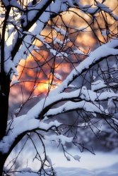 AE290F87-D13F-4C32-97D3-01B6F3AD9879.jpeg