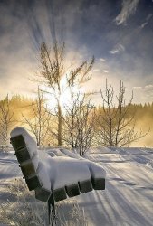 92D2C3C0-AA30-486B-B356-12552AD1E676.jpeg