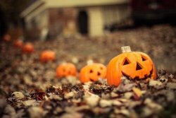 3F5438D1-7AF6-4F11-AF82-F220E0818CFB.jpeg