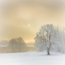 C11361E3-9C1F-433F-A2E7-D5A2C6686C77.jpeg