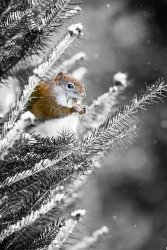 5B315D02-B10E-467B-B6F5-070AF903FE5D.jpeg