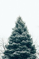 F263302B-4A9E-4B1F-97CC-2D98EEB52991.jpeg