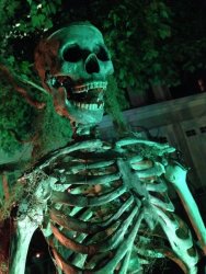B834D42B-8D3A-41E2-983E-FCAE3970A40A.jpeg