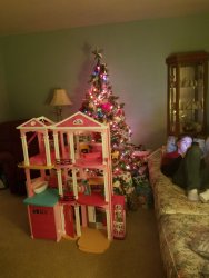 20181224_232803.jpg