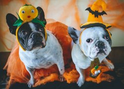 5134C287-6E4C-48F0-8EE9-138E64B02705.jpeg