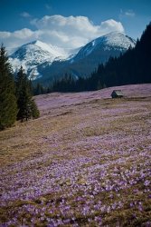 70F7984A-A6B0-4E08-A83B-A742430D8859.jpeg