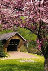 a03344e78189c07799ed85594f924c0a--covered-bridges-country-roads.jpg