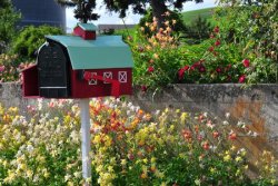 flowers-around-mailbox-big-57d72e9b5f9b589b0a63f00d.jpg