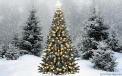 234A31BF-0884-4925-BEAA-B64F92CB6E92.gif