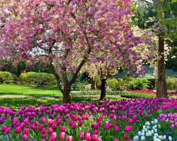 canadian-gardens-9.jpg