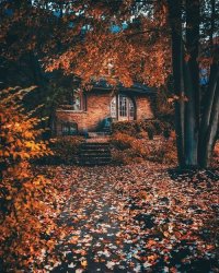 D637F975-71E3-4EC8-8E21-53CB374D8FAC.jpeg