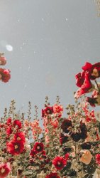 C8185474-EC10-475F-930E-7D37B9AC4C75.jpeg