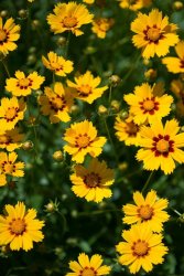 BE2B8A43-032C-492B-A727-D195EDEFE595.jpeg