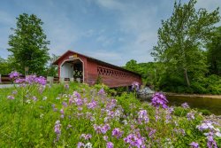 14-701-Henry-Covered-Bridge-Bennington-Vermont.jpg