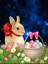 153EFFF6-7886-43C8-9517-E5506548B7B8.gif