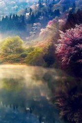 60FA5DDD-C451-41CF-AFF8-082DE40B27F5.jpeg