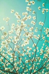 E1A0A167-C56A-400E-9549-CE6ACF0D2F06.jpeg