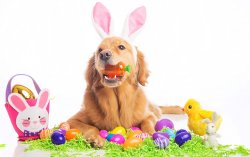 Easter 2.jpg
