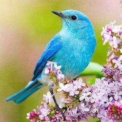 6376CD3C-5004-4D19-860A-740F2B69BC70.jpeg