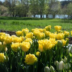 03476_01_marie_jo.jpg