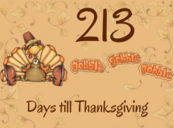 213.png