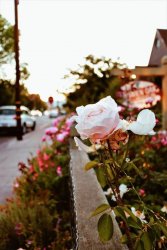 D119878B-DEDB-428B-B5F0-747997B6728B.jpeg