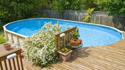 Summer-back-yard.jpg