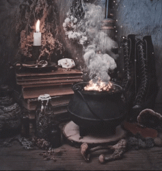 E1D0DB34-37A5-444C-BB9A-F0E45FE63BD7.gif