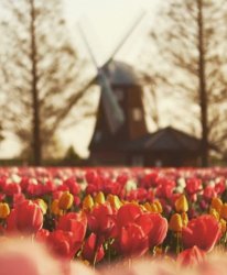 62808986-A489-46E4-8F2C-E645DB173632.jpeg