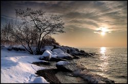 373D134E-05EF-471B-A13A-445F66EC5A53.jpeg