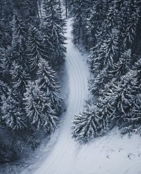 5393767B-8B17-41E7-B40B-60C68B904E89.jpeg