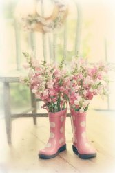 7C12A200-F29F-47BF-A46B-571BDB006114.jpeg