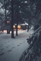 78E75629-2FC4-4EB6-BC9A-15E6F54A9A86.jpeg