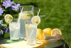 lemonaide-1024x683.jpg