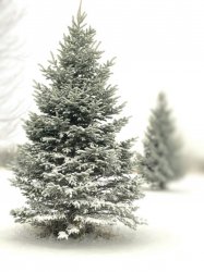 8151F100-C413-4404-86C3-DDF758D22A24.jpeg