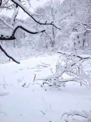E58F1498-69D2-432D-B50D-1A80A125DE1B.jpeg