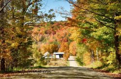 Farm-surrounded-by-fall-foliage.jpg