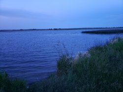 20190709_215944.jpg
