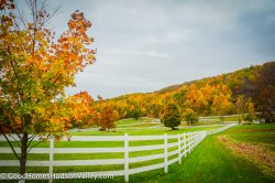 mahopac-new-york-37.jpg