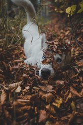 A683C5E8-0847-45D0-B8D2-A113A7C10D07.jpeg