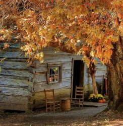 41531-Autumn-Cabin.jpg
